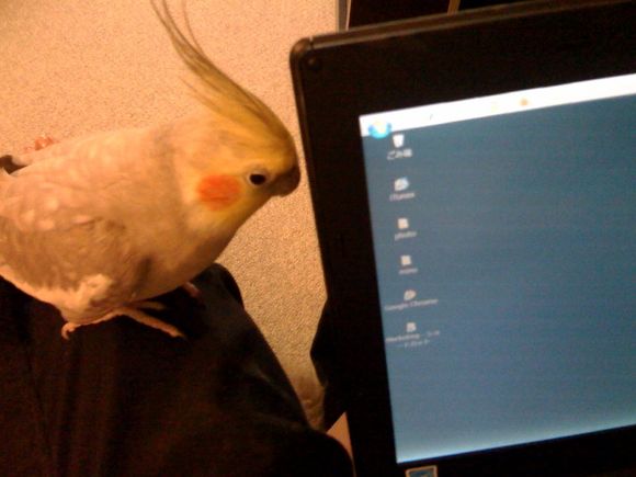 写真.jpg
